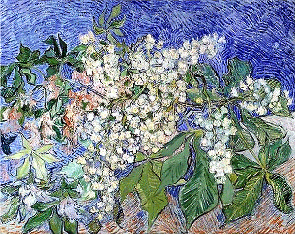 Vincent Van Gogh was famed for his bold,
dramatic brushwork of hue-saturated,
thickly-laid pigment which conveyed a
sense of vibrancy and movement.