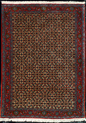 Nejad #22690 Persian Bidjar Semi-Antique C. 1970