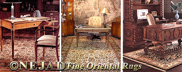 Home offic interior featuring Nejad Tabriz rug