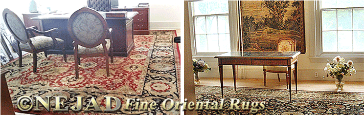 Home offic interior featuring Nejad Tabriz rug