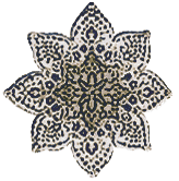 illustration of a rug medallion