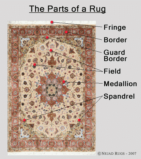 Graphic depiction identifying the parts of a typical area rug.