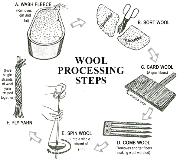 Diagram of the steps involved in the processing of Wool: WASHING, SORTING, CARDING, COMBING, SPINNING, PLYING.