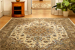 Nejad Rugs in Office Suite