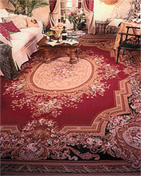 Versailles Aubusson Rug NP002BREM